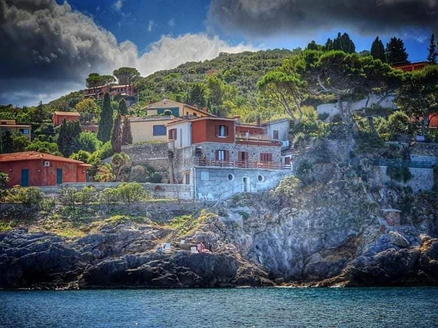 Flora Argentario Porto Santo Stefano (Grosseto)
