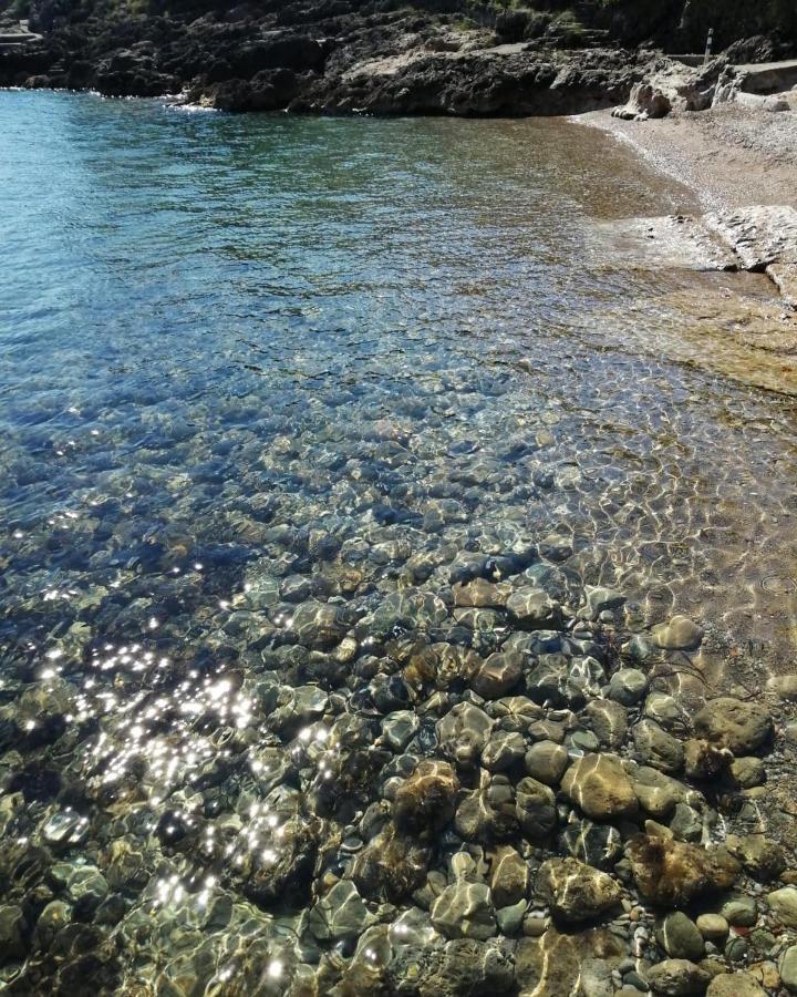Flora Argentario