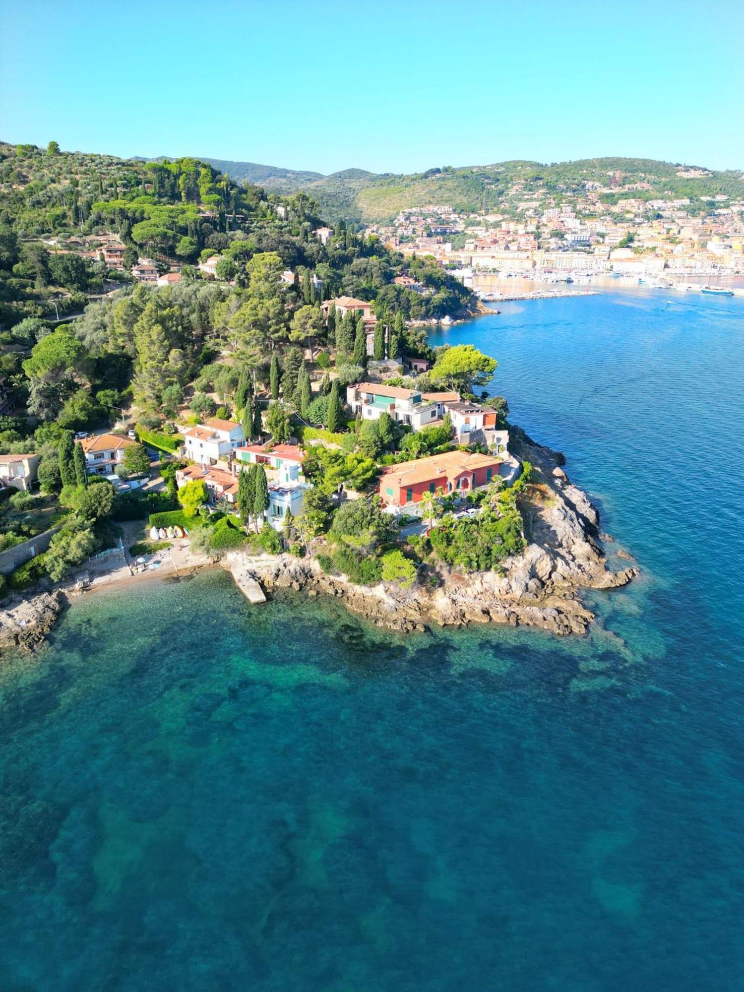 Flora Argentario *