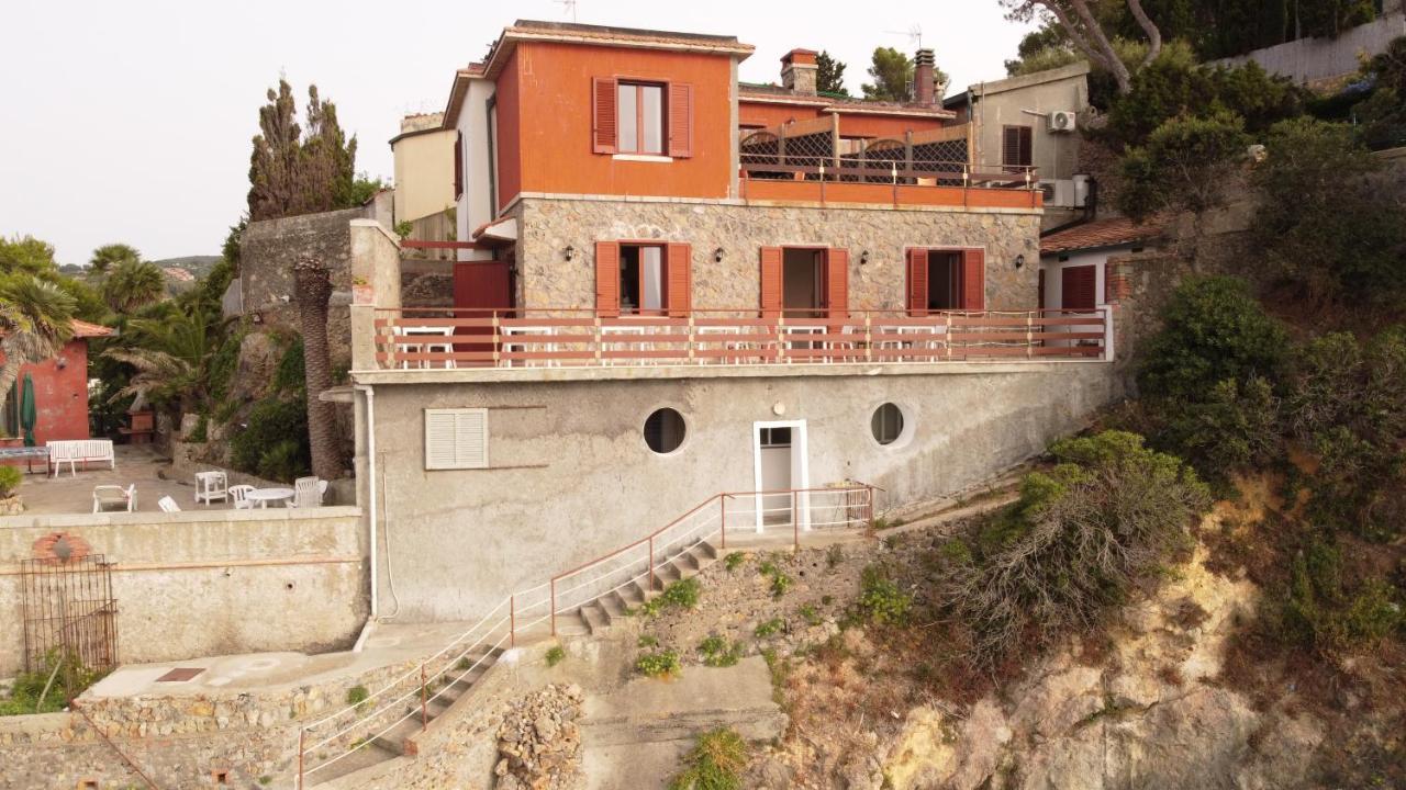 Flora Argentario